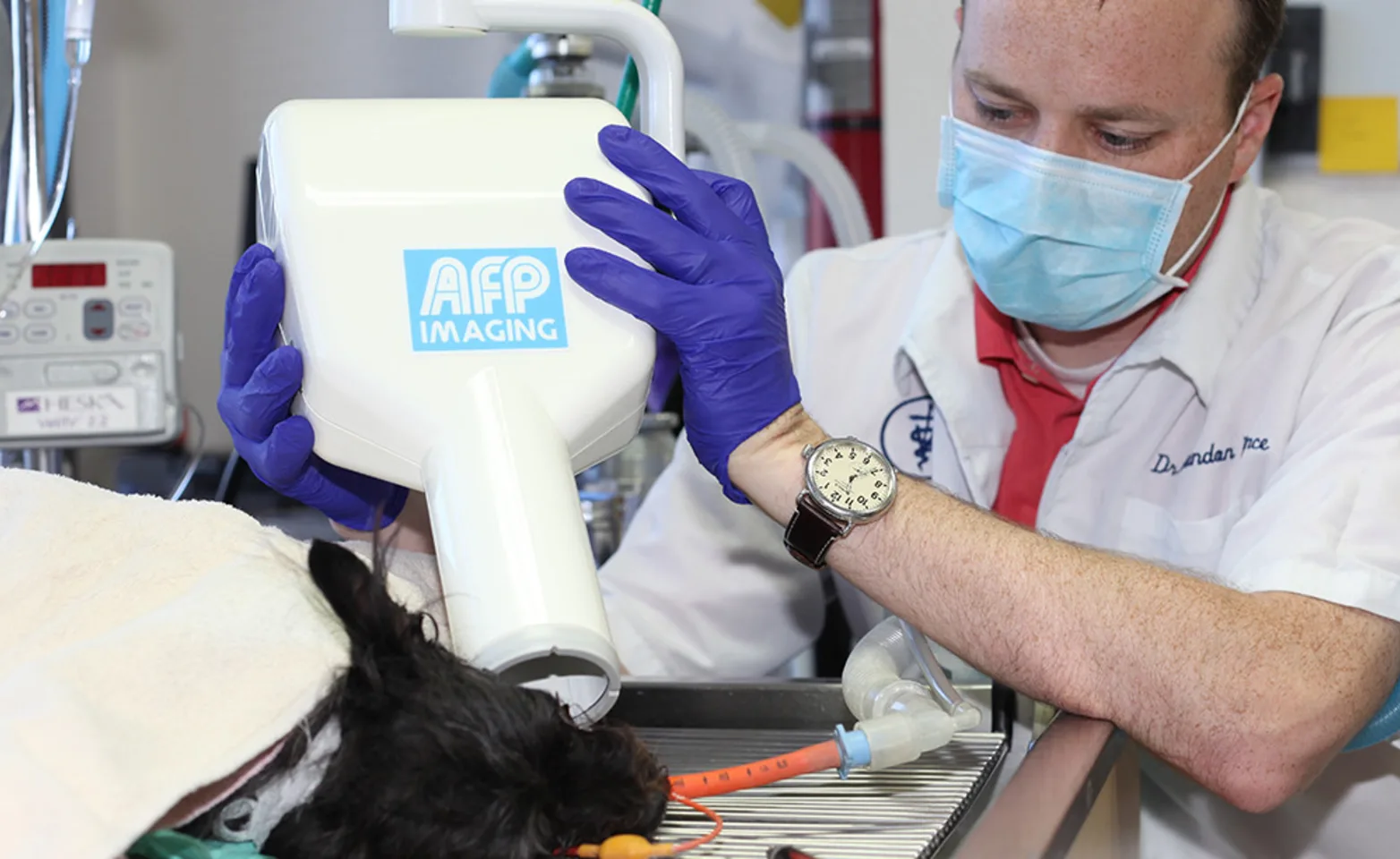 Goldorado Animal Hospital veterinarian taking an x ray of a dog's teeth